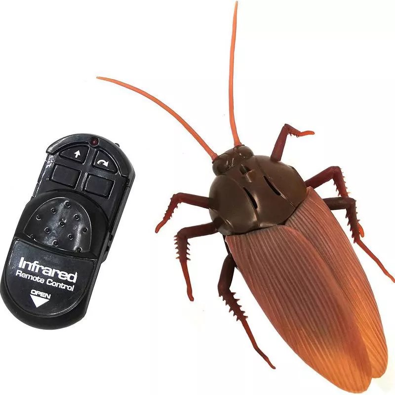 Remote Control Cockroach