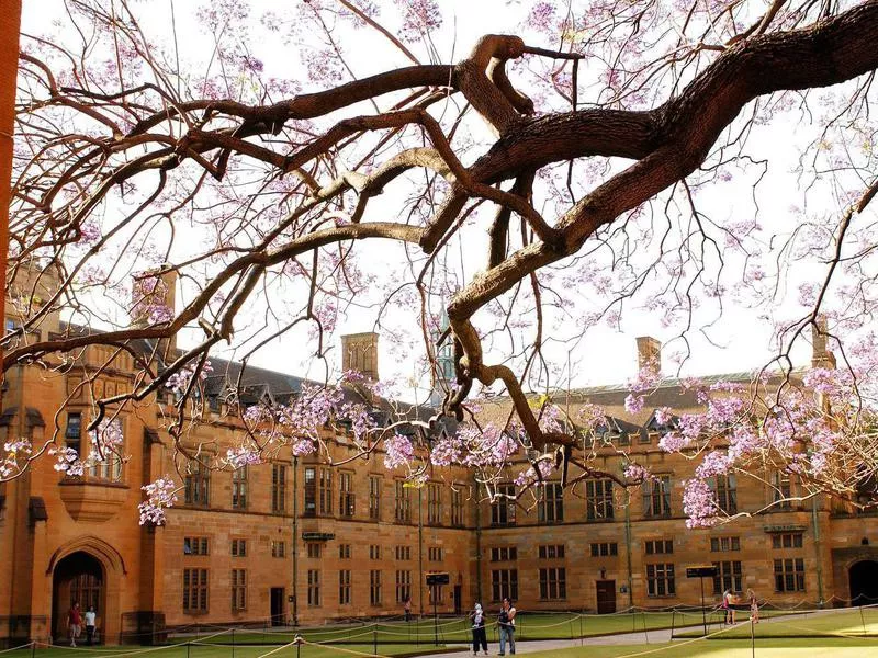 University of Sydney