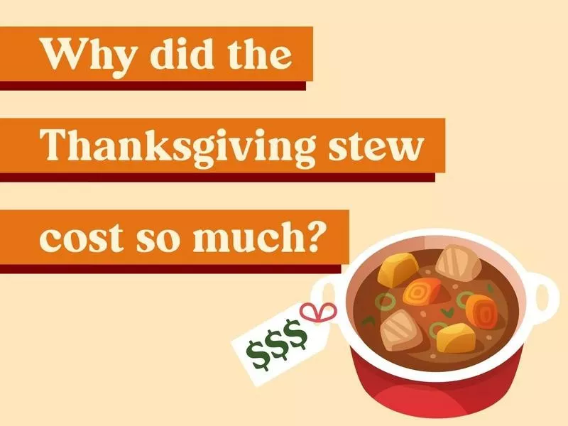 Why did the Thanksgiving stew cost so much?