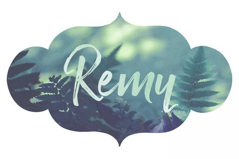 Remy