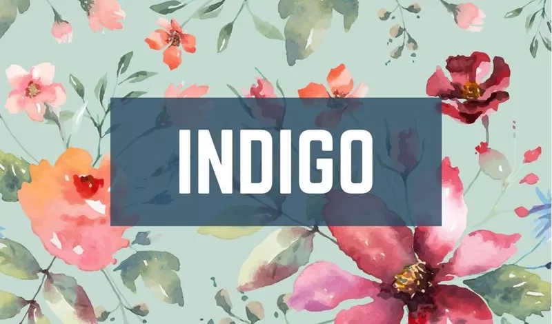 Indigo