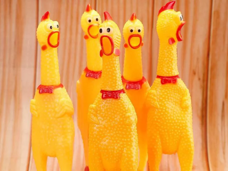 Rubber Chicken