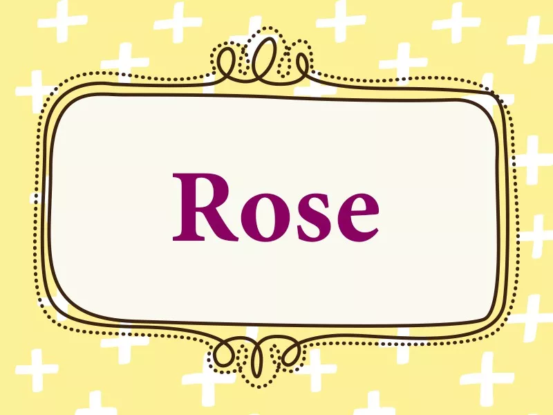 Rose