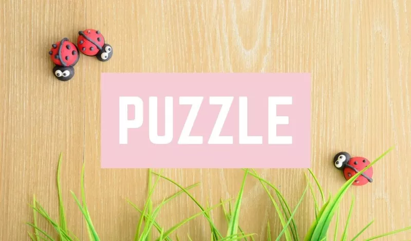 Puzzle