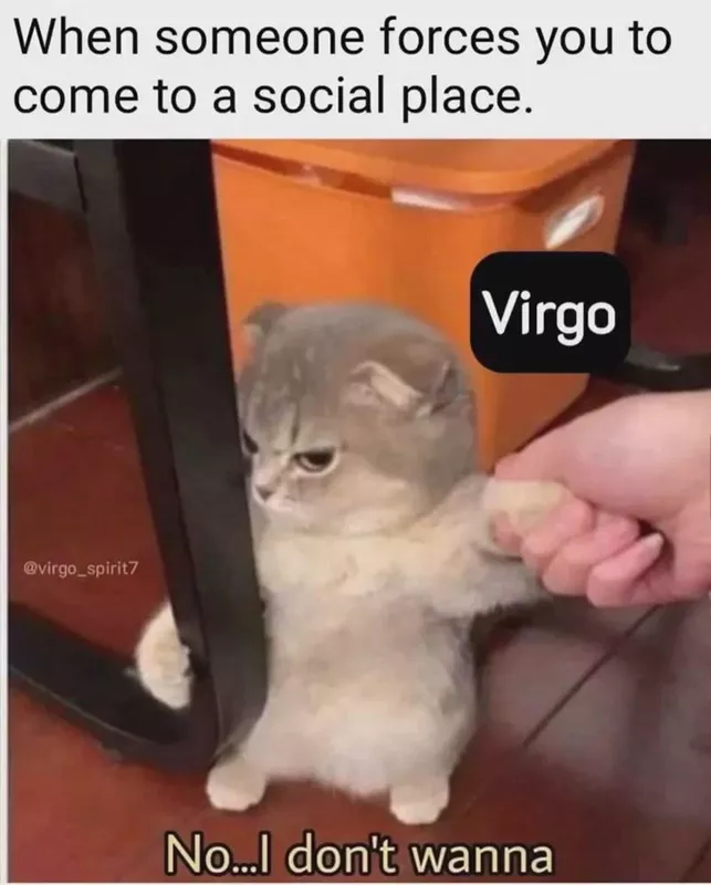 Virgo Meme