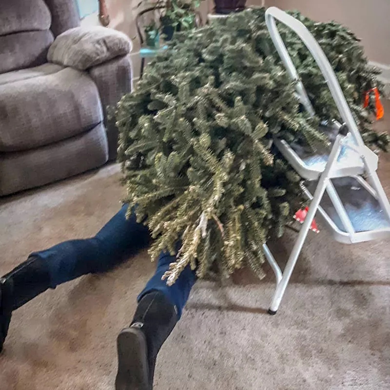 Fallen Christmas tree