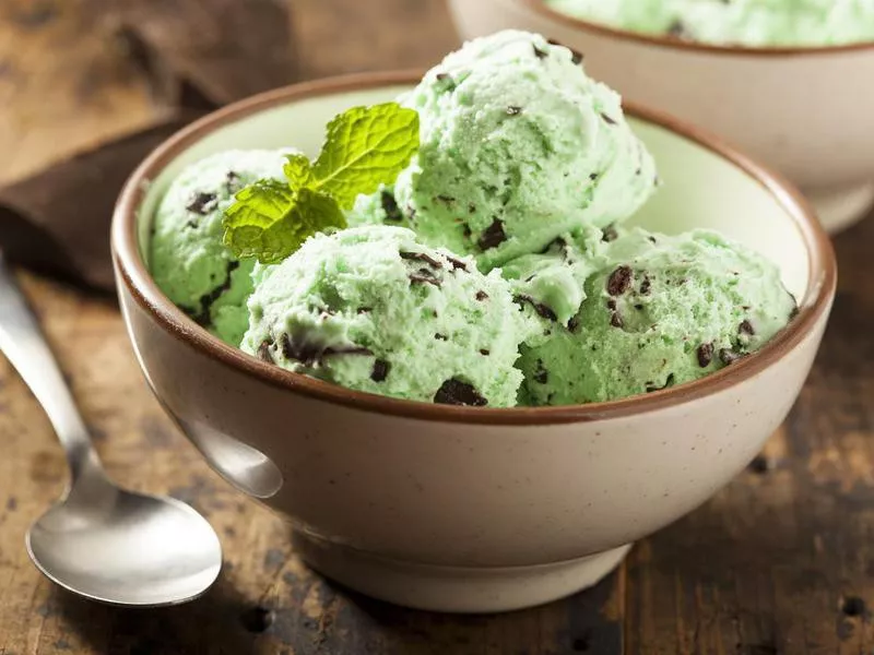 Mint Chocolate Chip