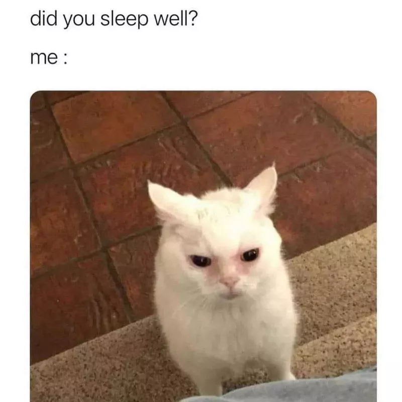 Did you sleep well meme