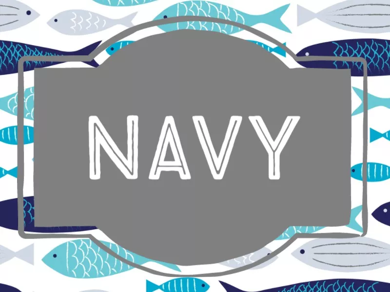 Navy