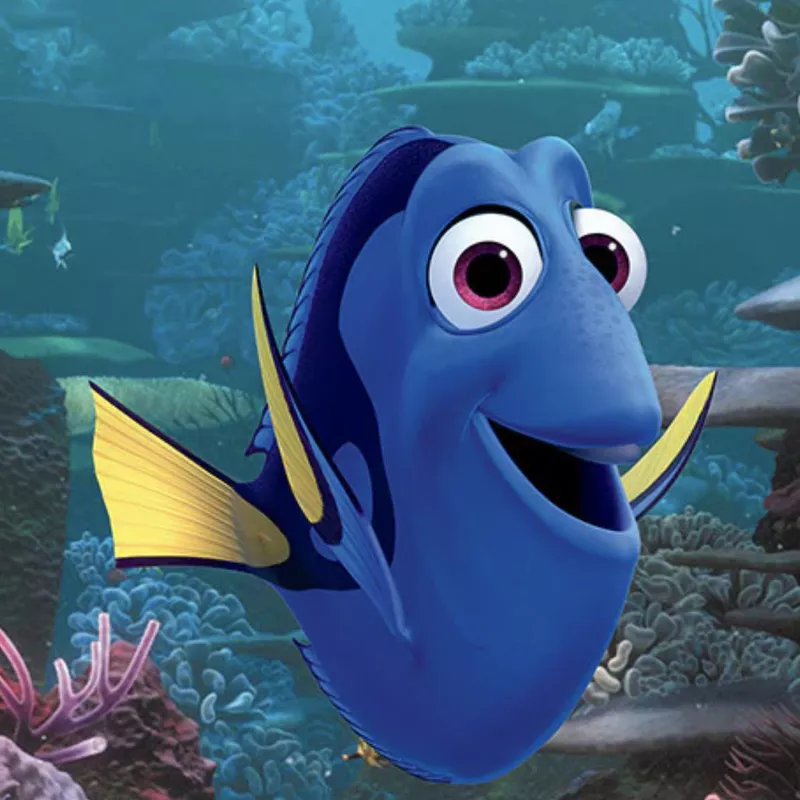 Dory