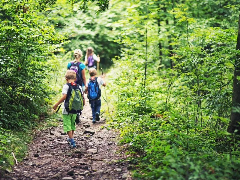 nature trail