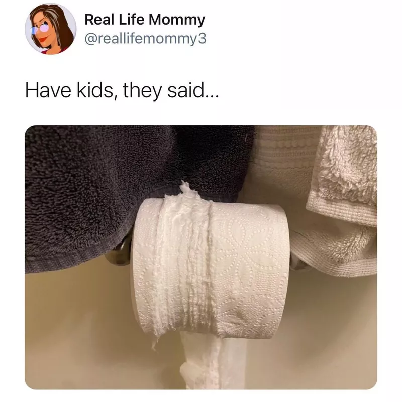 toilet paper meme