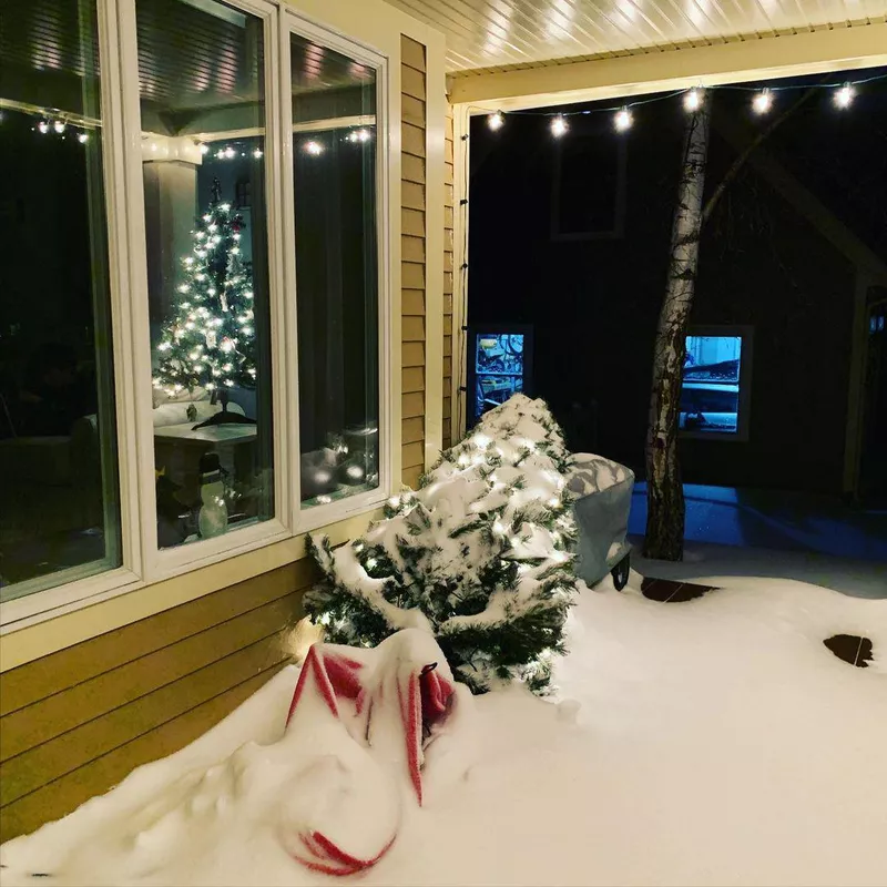 Snow-covered Christmas decorations