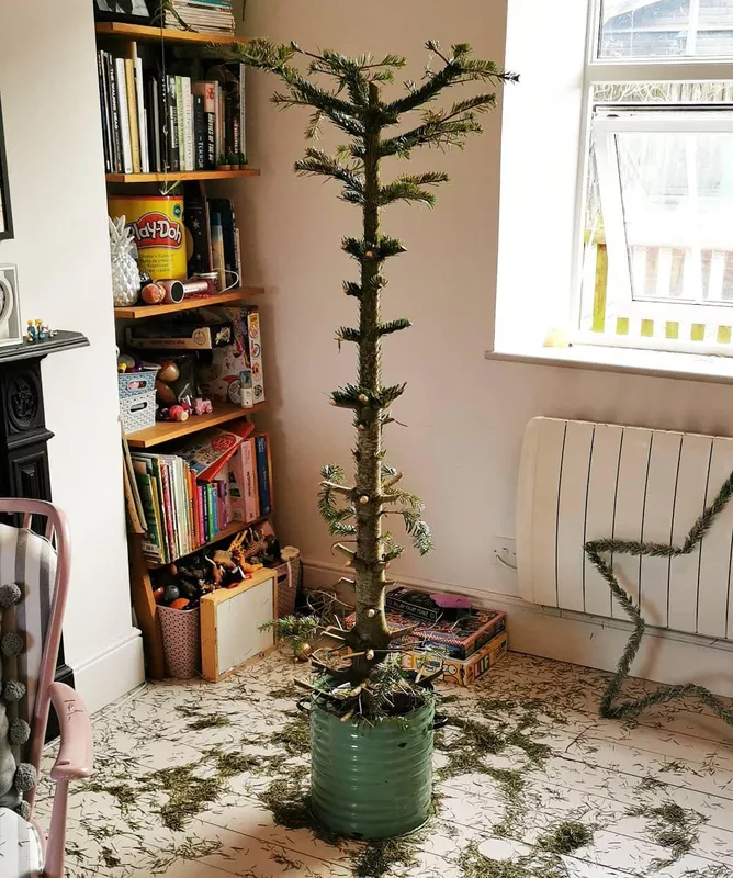 Sad Christmas tree