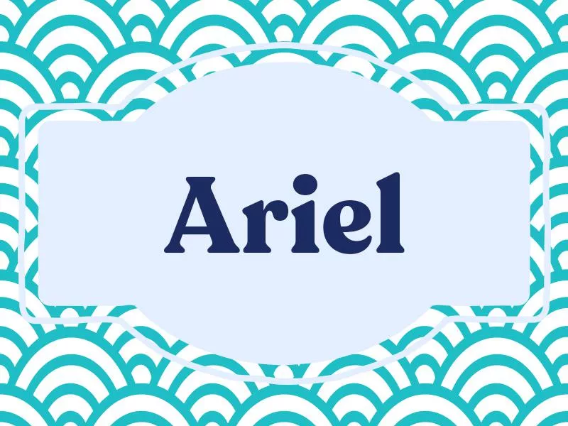 Ariel