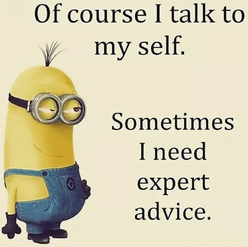 Talking to myself minion meme