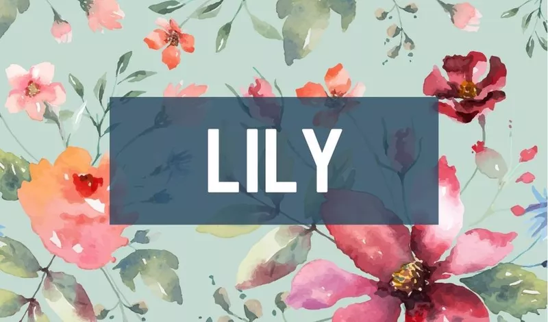 Lily, a strong flower name