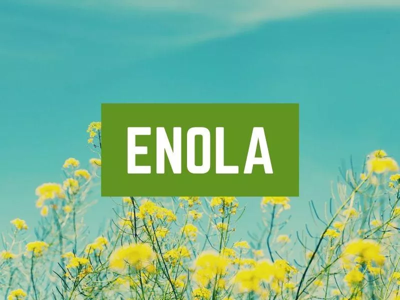 Enola