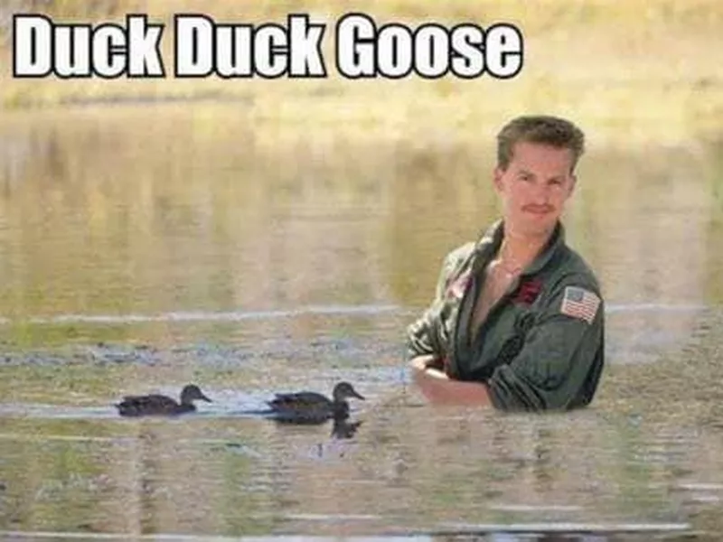 Duck Duck Goose