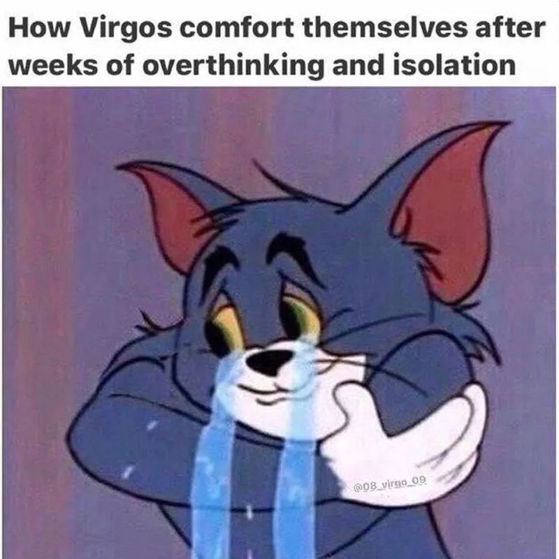 Virgo Memes