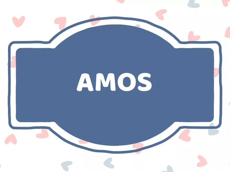 Unique Baby Boy Names that Start with 'A': Amos