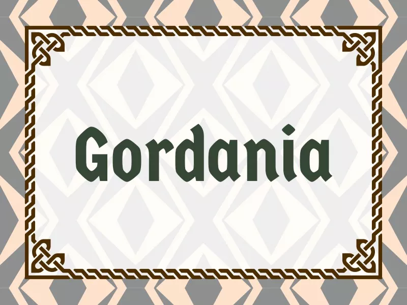 Gordania