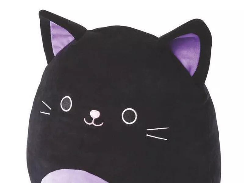 Autumn the Black Cat Squishmallow