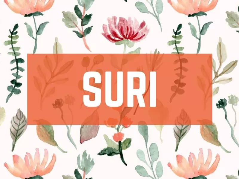 Suri