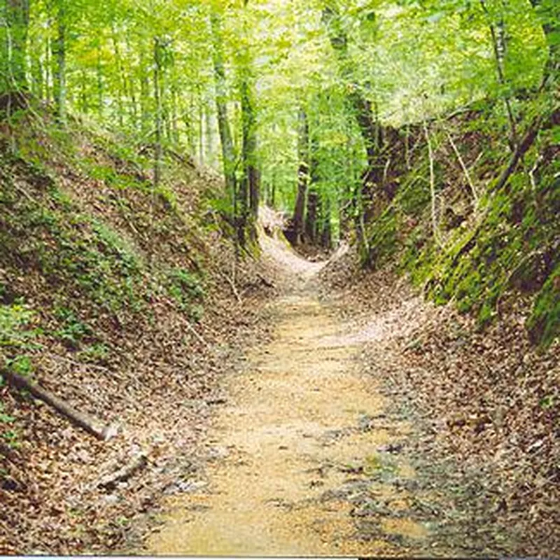 The pathway where many of Harpe's crimes were committed