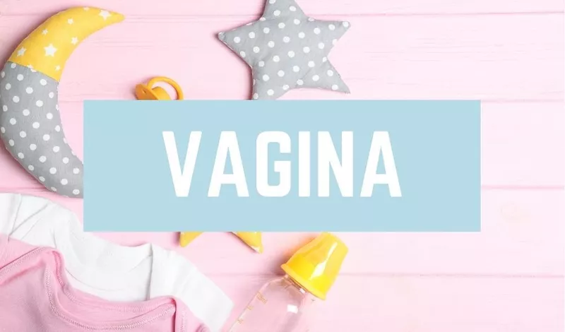 Vagina