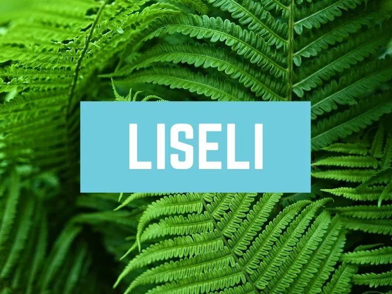 Liseli