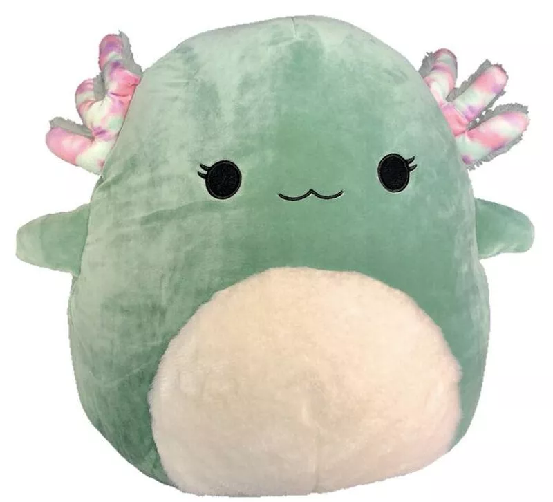 Chasmen Squishmallow