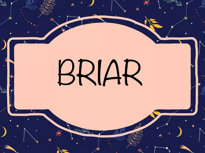 Briar