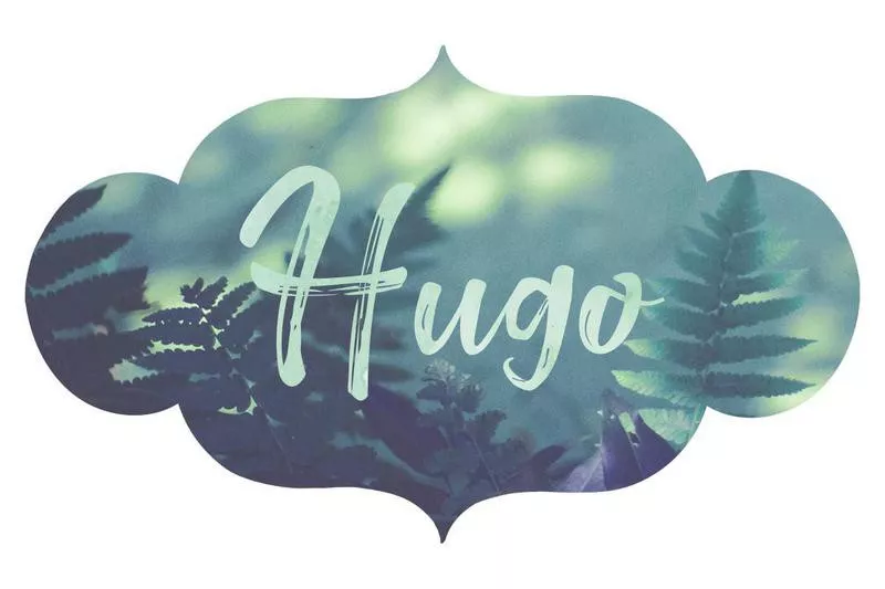 Hugo