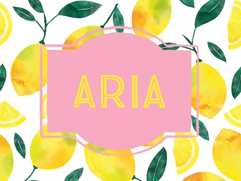 Aria