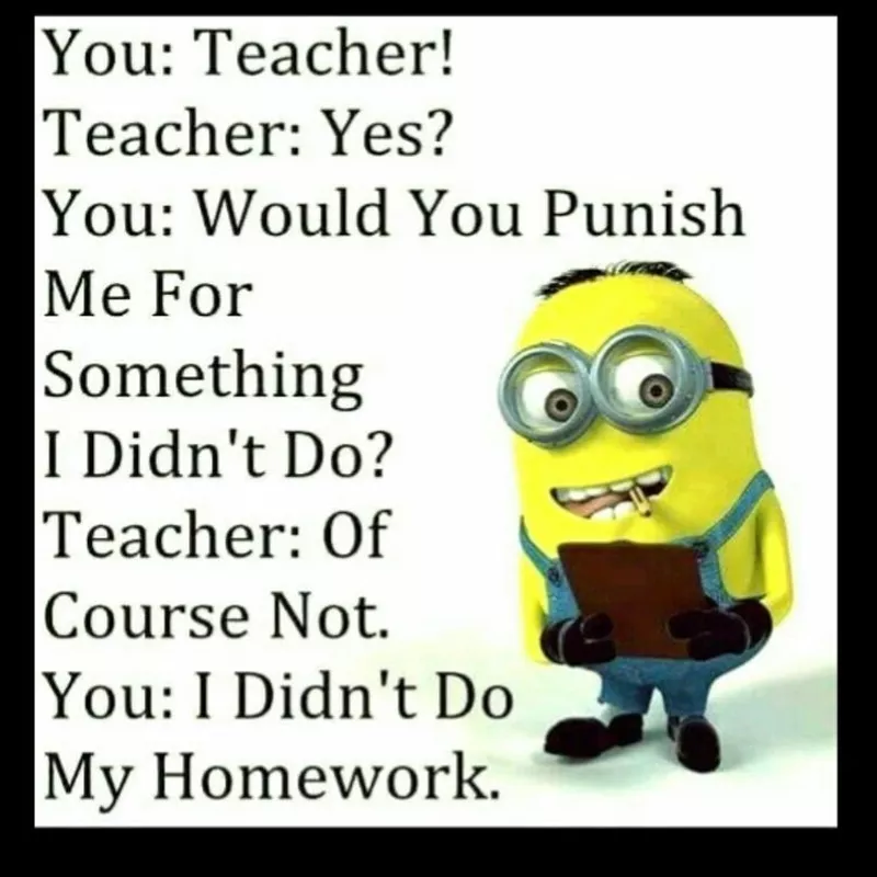 Homework minion meme