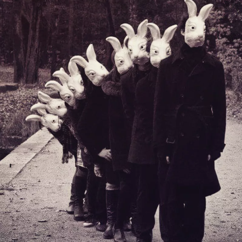 A row of rabbits