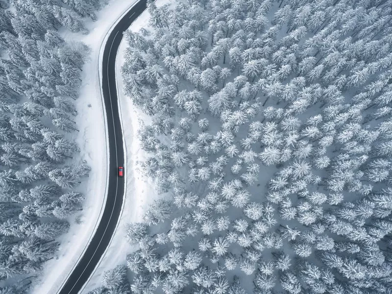 Driving In Snowcapped Forest