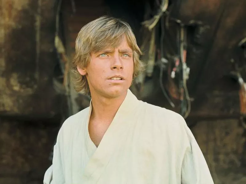 Mark Hamill as Luke Skywalker