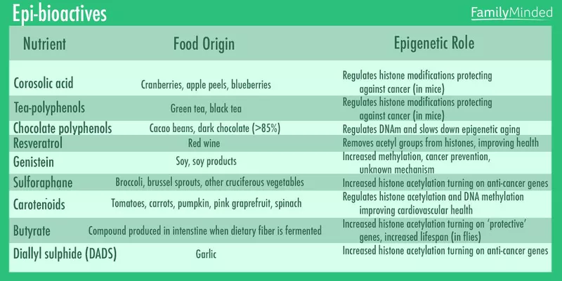 Epi-bioactives and their epigenetic role