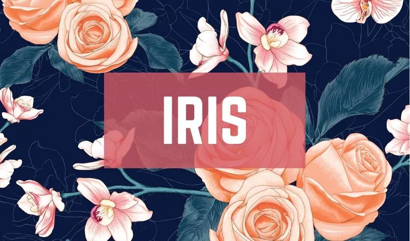 Iris