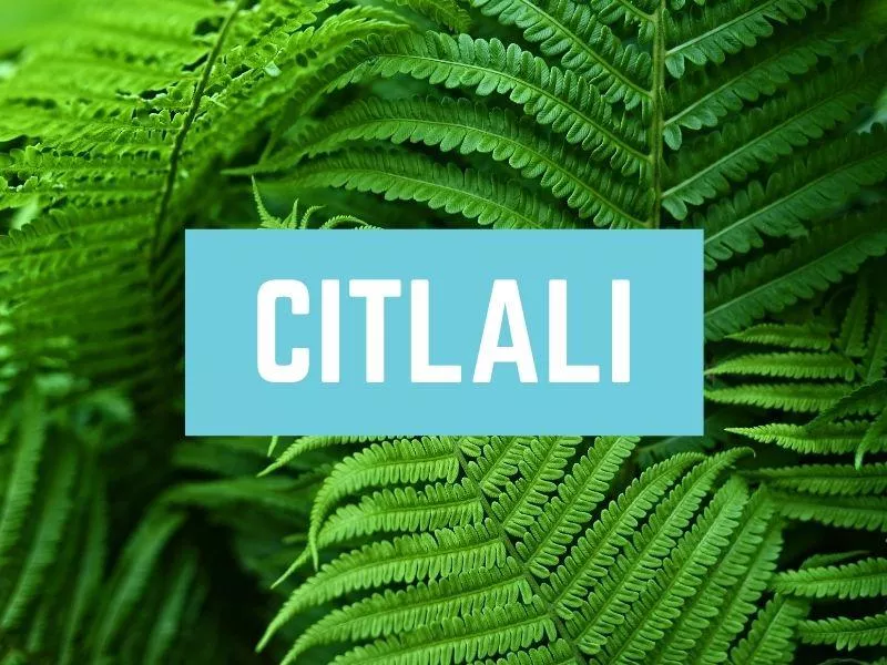 Citlali