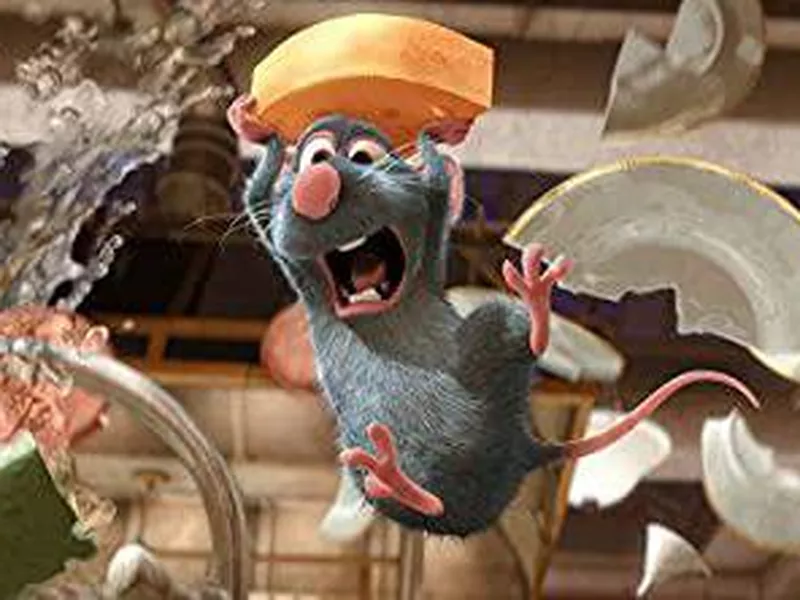 Ratatouille