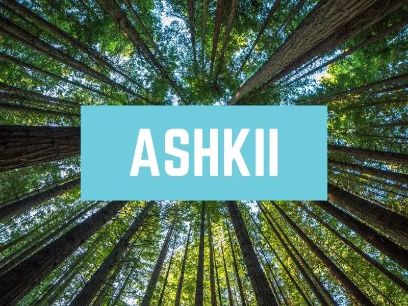 Ashkii