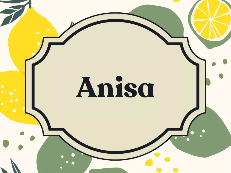 Anisa