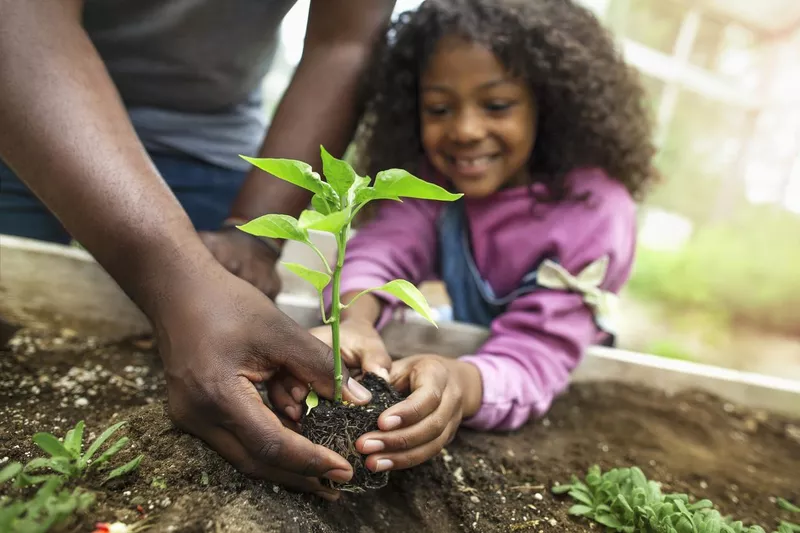 Father and daughter holding small seedling at community garden greenery