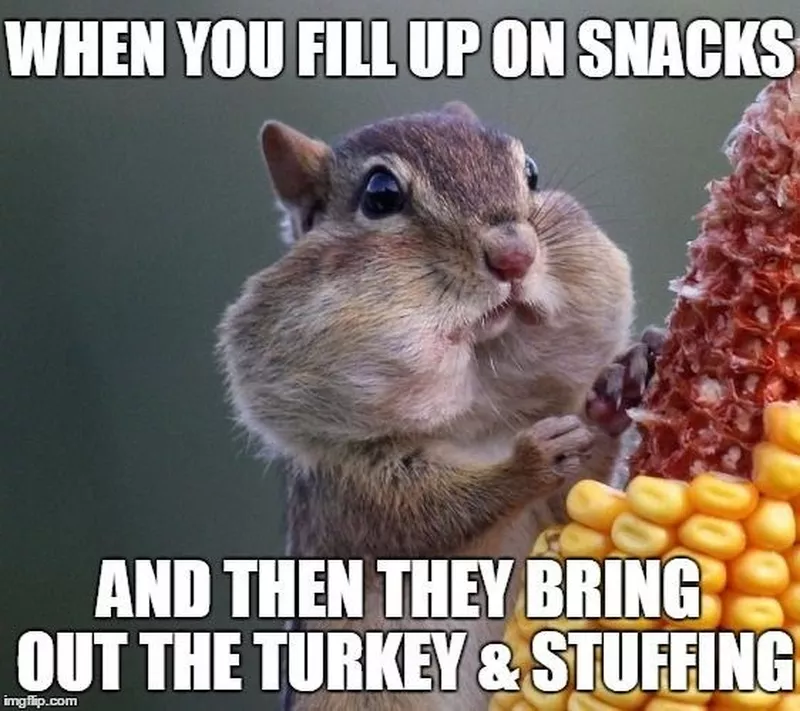 Filling up on snacks Thanksgiving meme