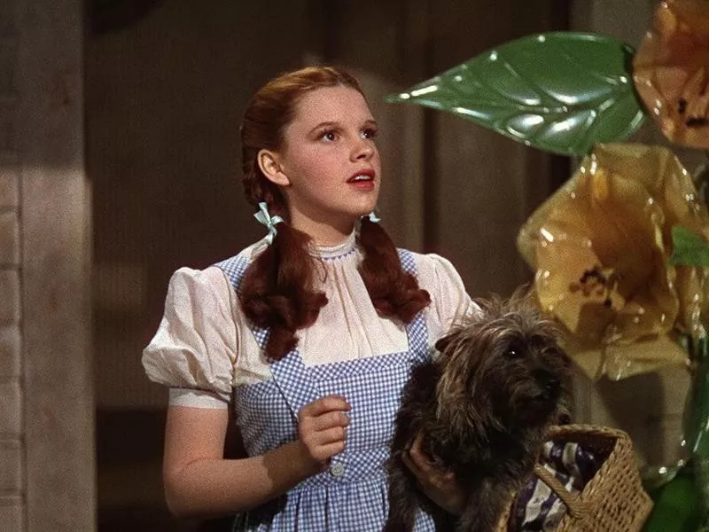 Dorothy Gale