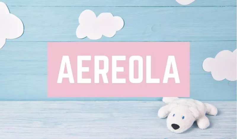 Aereola