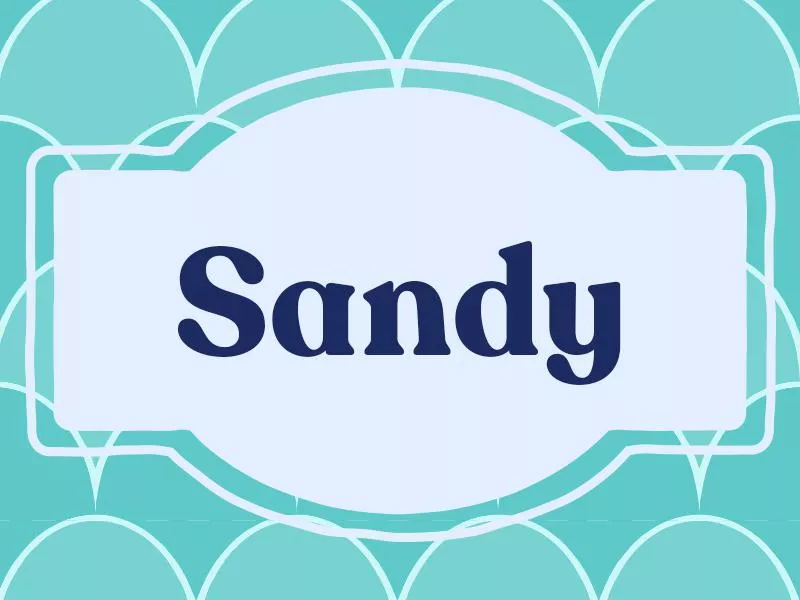 Sandy